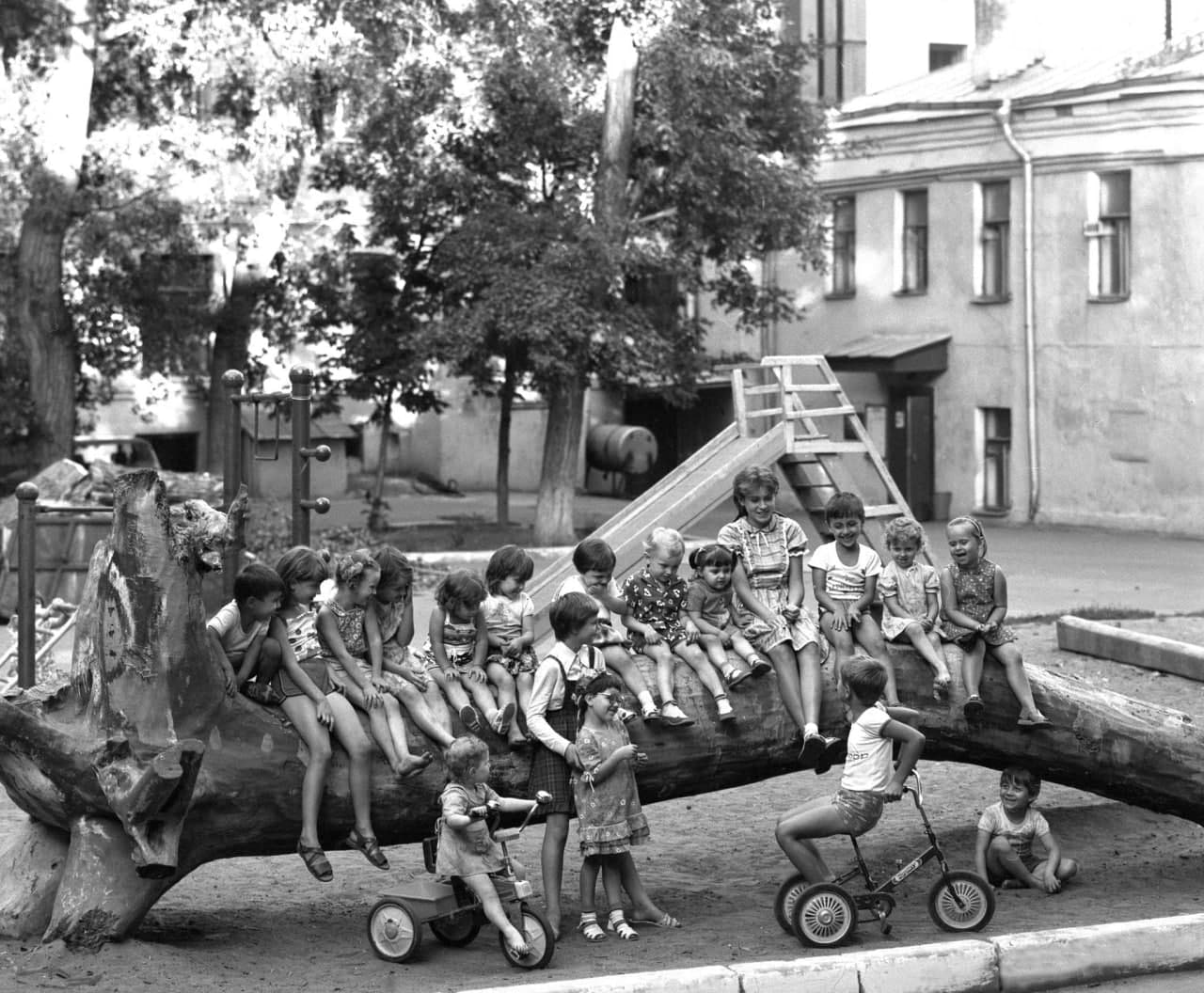 Московский двор, в котором центром стало упавшее дерево, 1970-е