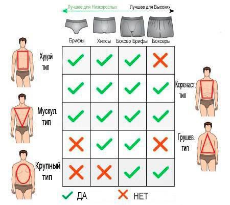 Как правильно подобрать мужские трусы.