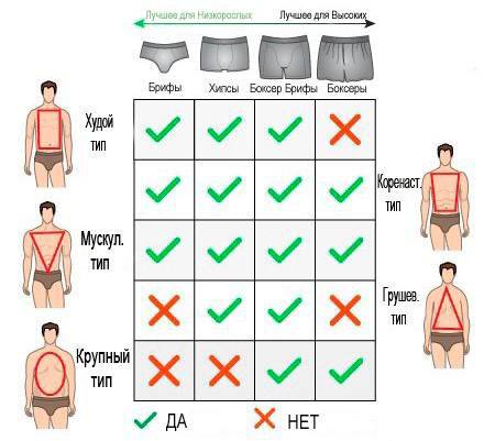 Как правильно подобрать мужские трусы.