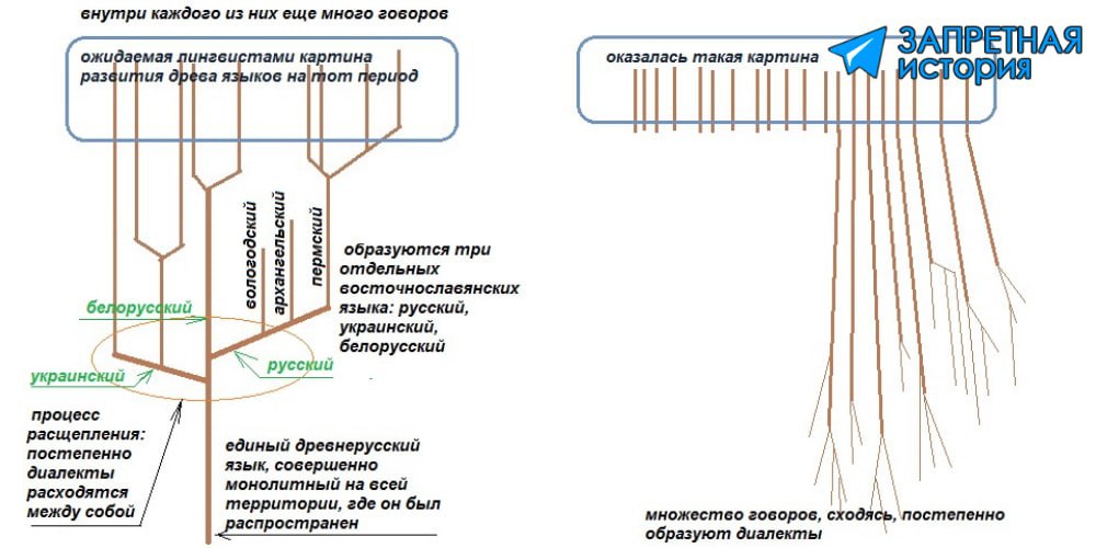 Академическая наука считала, что был единый древнеславянский язык, который...