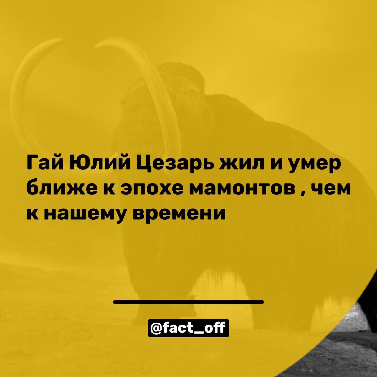 Цезарь умер в 44 году до нашей эры, а последний мамонт умер примерно 3700 лет...