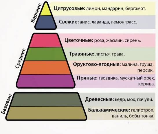 Жизненный цикл ароматов