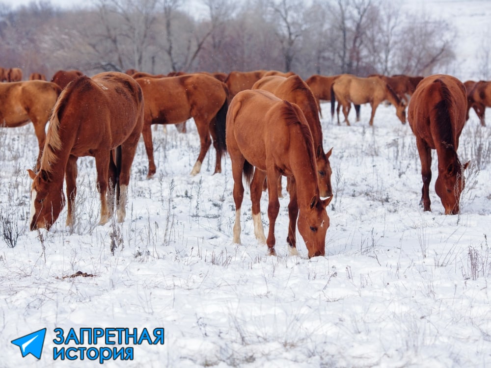 Официальная история и наука живут по принципам Иисуса Иосифовича - правая рука...