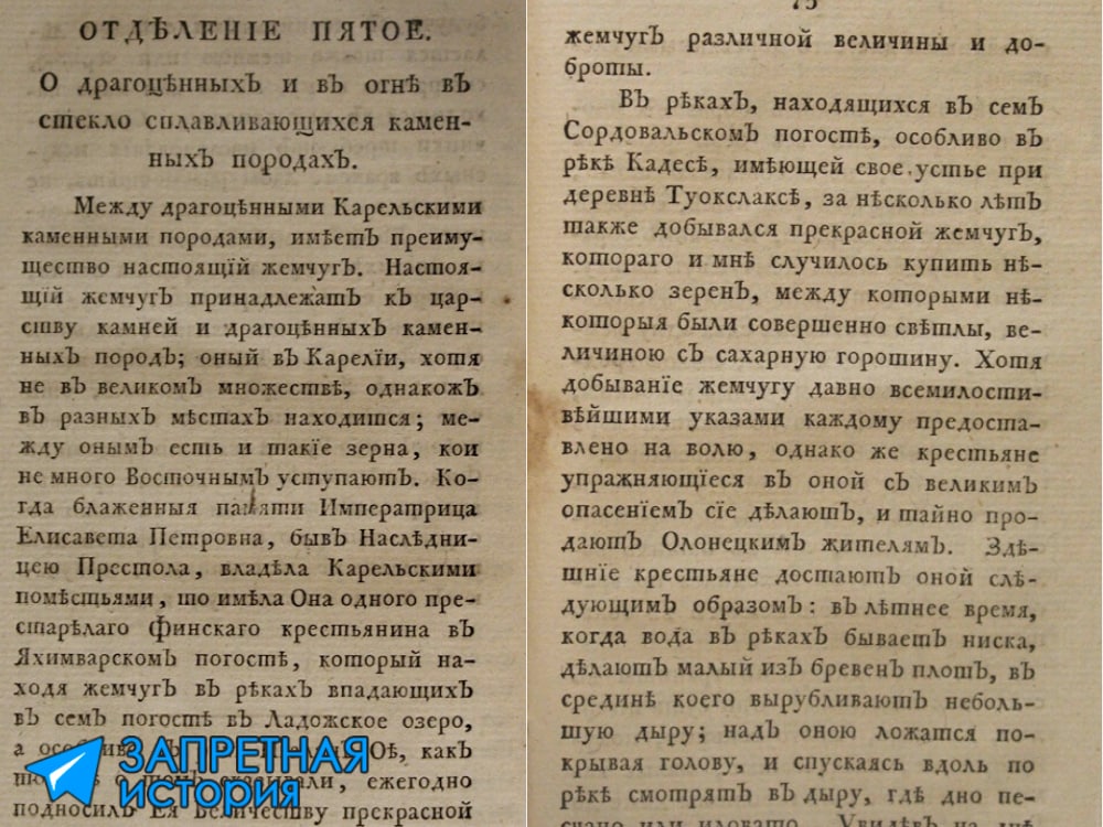 Читая о тонкостях созревания речного жемчуга, рискуешь нарваться на...