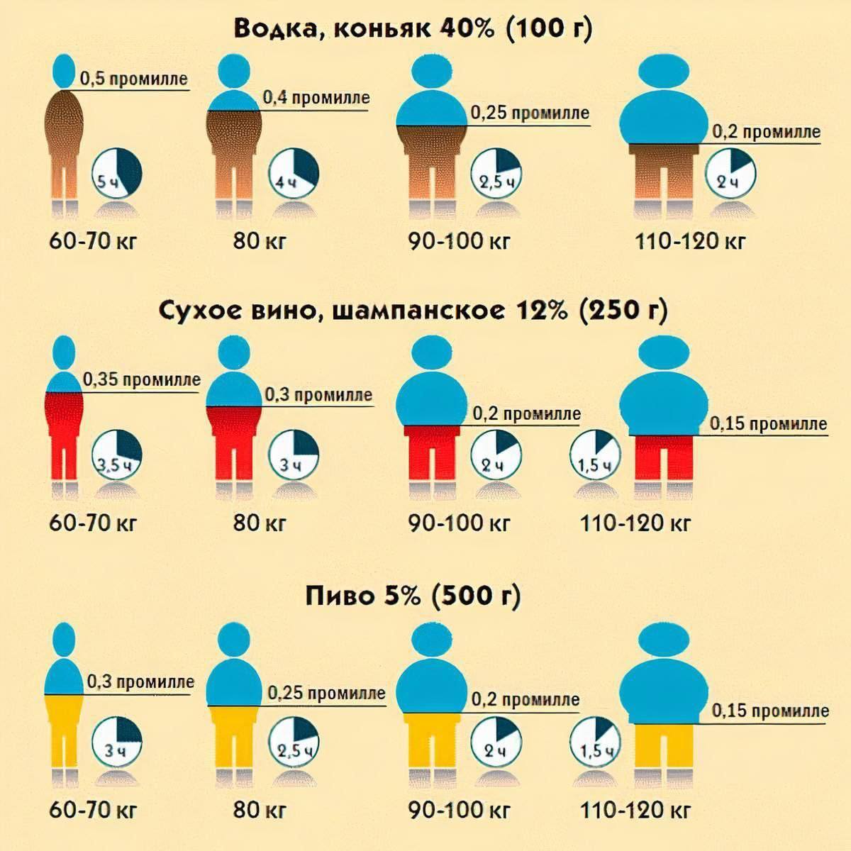 Как долго выходит алкоголь из крови

Сохраняй, ведь скоро праздники, пригодится