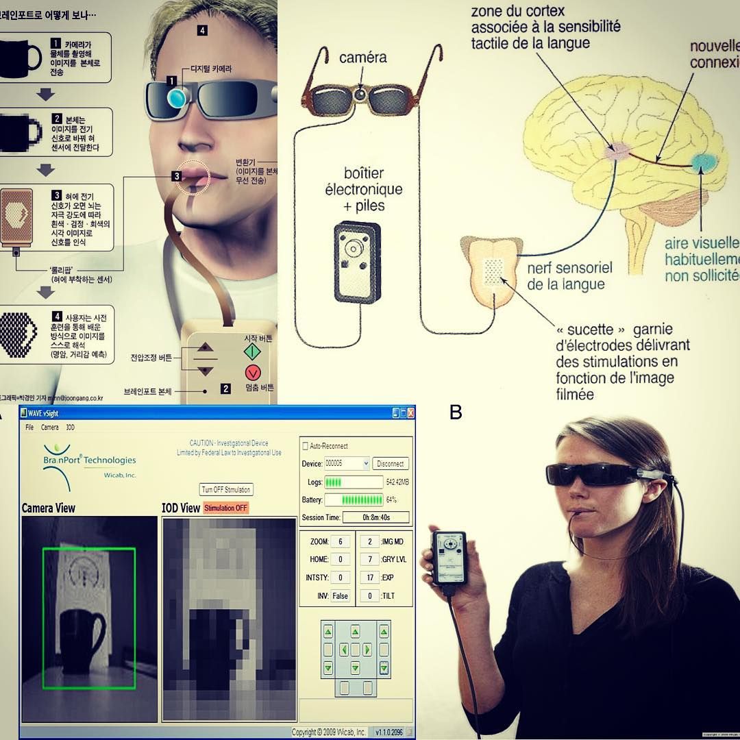 Ученые создали сканер для
слепых

BrainPort Vision Device — прибор, позволяющий...