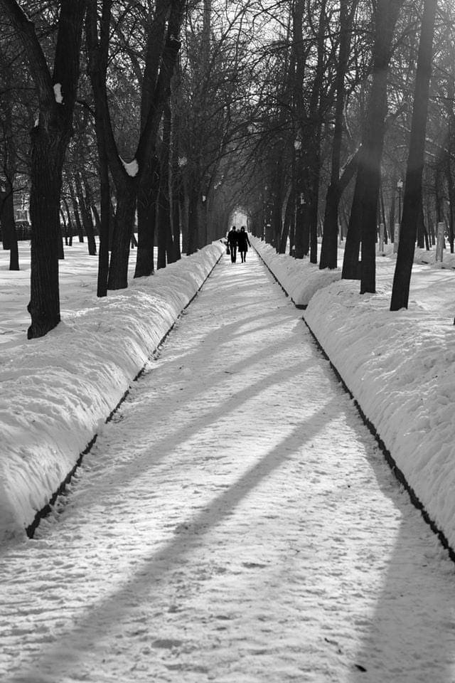 Чистопрудный бульвар, 1950-е