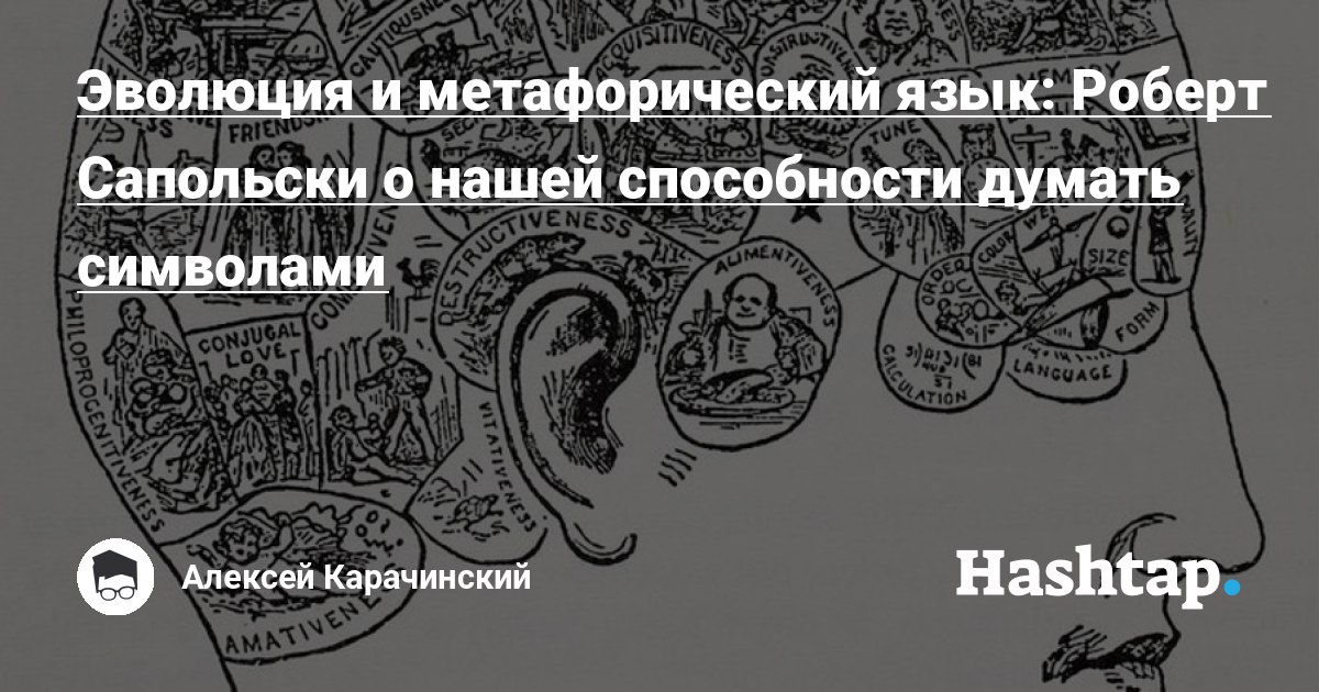 Профессор биологии и неврологии Стэнфордского университета Роберт Сапольски...