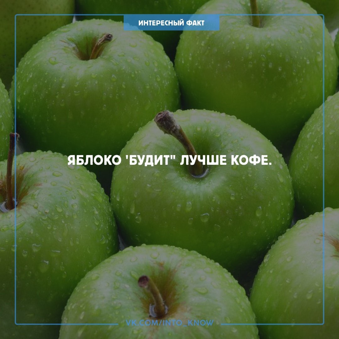 Почему именно яблоко? Во-первых, оно содержит углеводы, клетчатку и фруктозу.