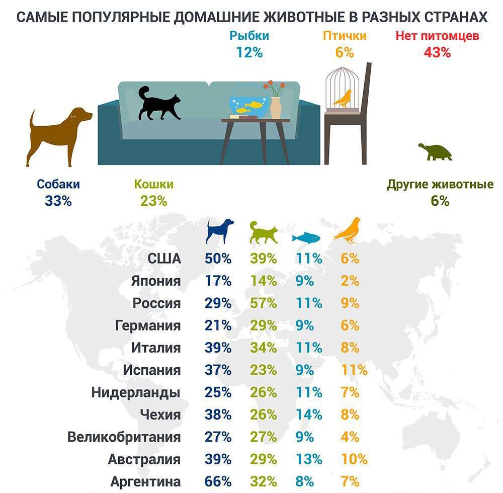 Рейтинг популярности домашних животных.