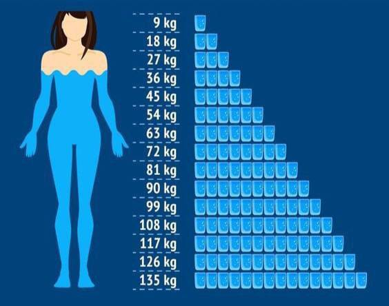 Сколько стаканов воды в день нужно выпивать человеку.