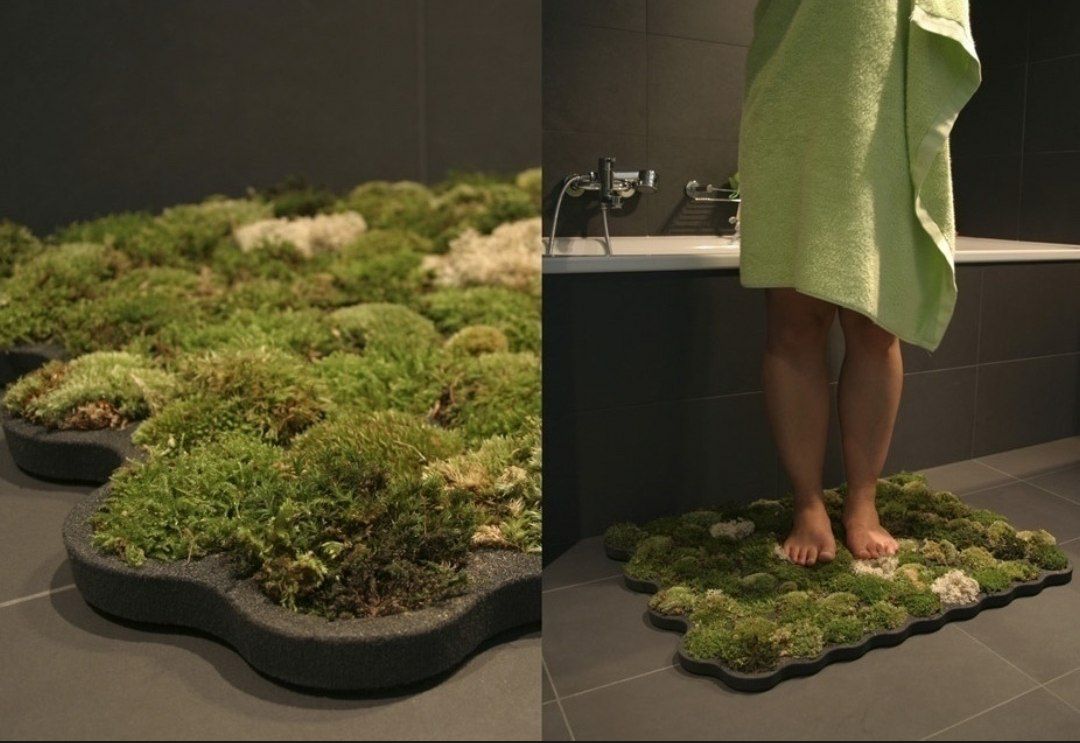 Live moss carpet — это мягкий ковер из мха, который растет благодаря нескольким...