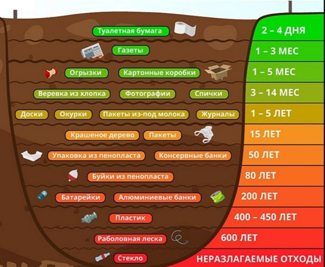 Как долго разлагается мусор. Наглядный рисунок. 

Профессор ГУГЛОВ