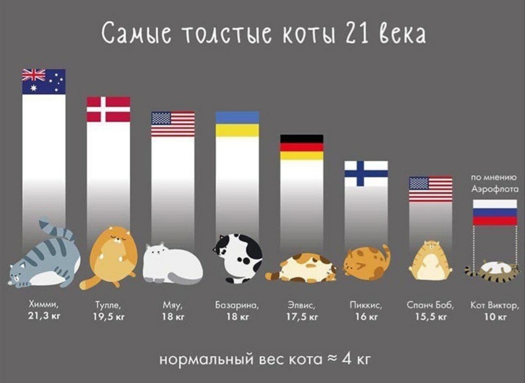 Самые толстые коты 21 века

Профессор ГУГЛОВ