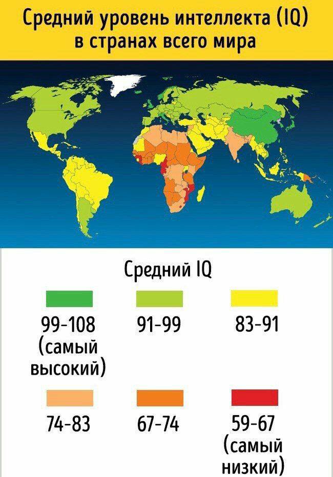 Средний уровень IQ во всех странах мира.

Книга знаний