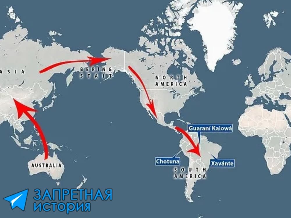 Генетики официально заявили о следах австралийских генов в Южной Америке. Ну...